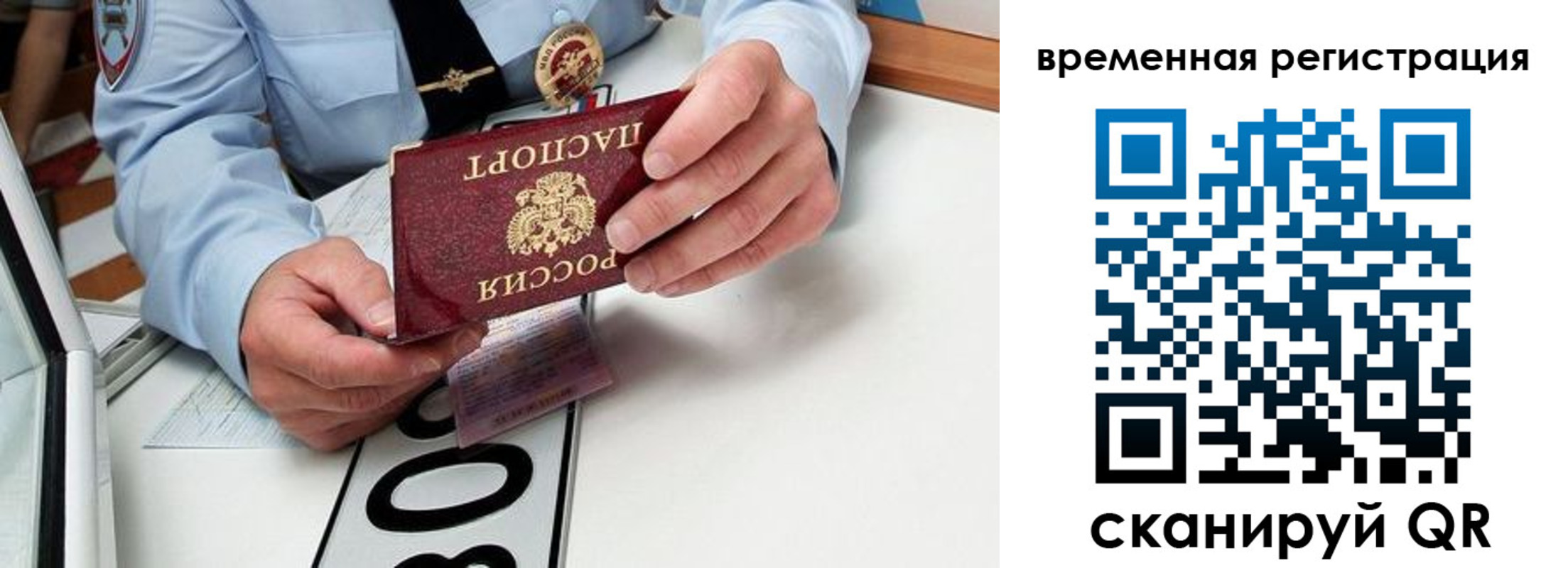 прописка гарантия в Мариинском Посаде